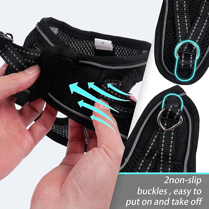 Dog Harness for Small Dogs and Leash Set, Honeycomb Grid, Reflective Lightweight Harness & Anti-Twist Pet Lead (Multi Color, Size: XS-S-M) (M, Black)