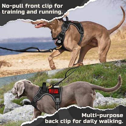 rabbitgoo Tactical Dog Harness for Small Dogs, No Pull Military Service Vest with Handle & Molle, Easy Control for Training Walking, Adjustable Reflective Straps, Black, S