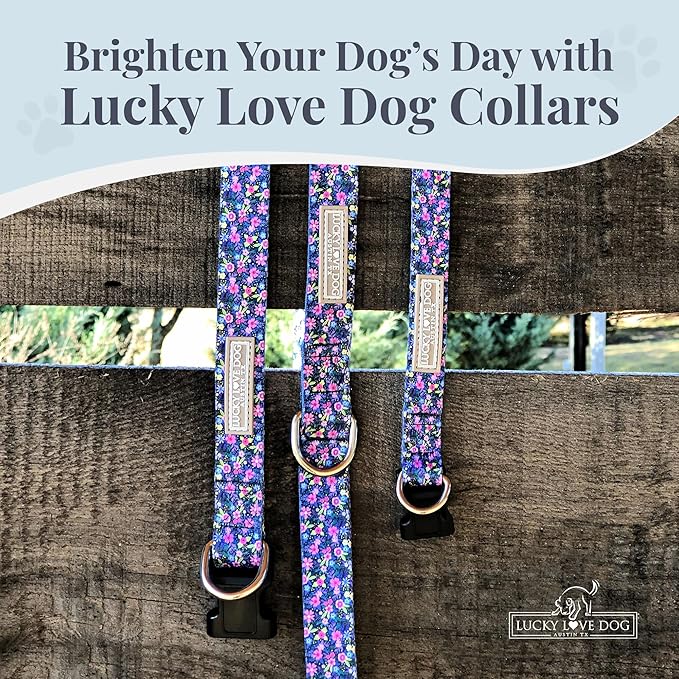 Lucky Love Dog - Adjustable Dog Collar with Easy Click Buckle for Large Ones, Durable, & Comfortable for Male & Female Dogs, Pet Collar for Puppies & Adult Dogs - Primrose, Large