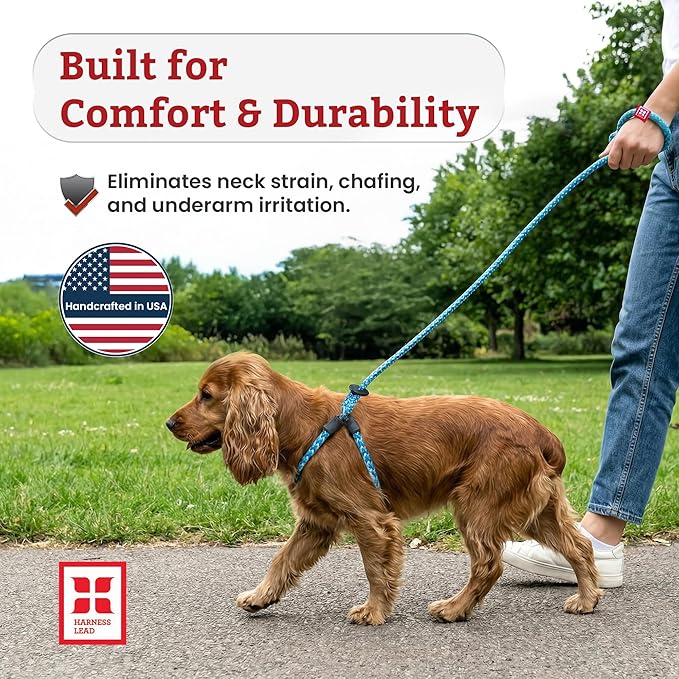 Harness Lead No Pull Dog Harness and Leash Set, Anti Pull Dog Harness, One-Piece Cushioned Rope Safely Prevents Escaping and Pulling (Small/Medium, Rainforest)