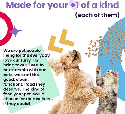 I AND LOVE AND YOU Nice Jerky Bites - Chicken + Salmon - Grain Free, Real Beef, Training Treat, Chewy Dog Treats, Filler Free, 4oz (Pack of 2)
