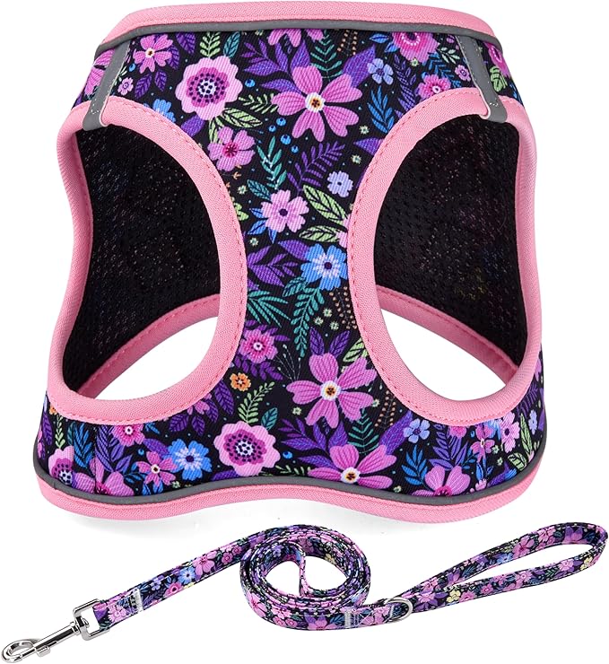 Mihqy Step in Dog Harness and Leash Set, Reflective Adjustable No Pull Dog Harness for Small Medium Dogs Puppy and Cats, Soft Padded Mesh Vest Harnesses for Girl and Boy Pets(Pink Floral,L)