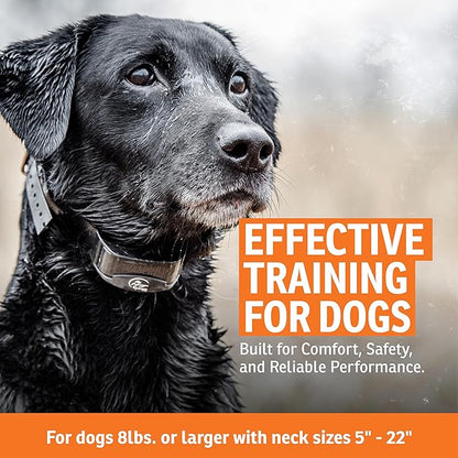 SportDOG YardTrainer 300 Remote Trainer - Off-Leash Safety Tool - Quick-Charge - Waterproof DryTek Technology - Compact E-Collar - Remote Dog Collar - 300-Yard Range