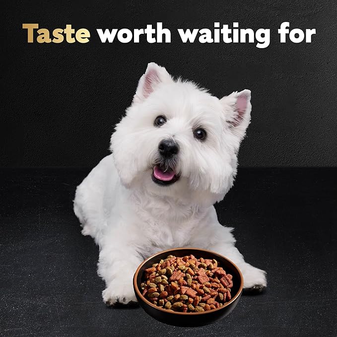 Cesar Small Breed Dry Dog Food for Small Dogs, Rotisserie Chicken Flavor and Spring Vegetables Garnish, 5 lb Bag