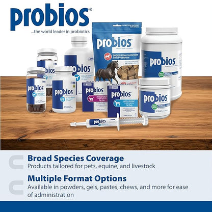 Probios Digestive Support Chewables for Dogs, Daily Probiotic Supplement for Gut Health, Digestion & Immune Support, 1 lb (Pack of 3)