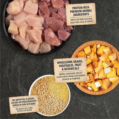 ACANA Wholesome Grains Dry Dog Food Puppy Recipe Real Chicken Eggs and Turkey 22.5lb Bag