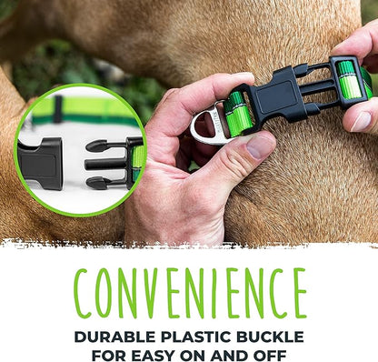 Mighty Paw Martingale Dog Collar 2.0 | Trainer Approved Limited Slip Collar with Stainless Steel Chain & Heavy Duty Buckle - Modified Cinch for Gentle & Effective Pet Training - S/M, Green
