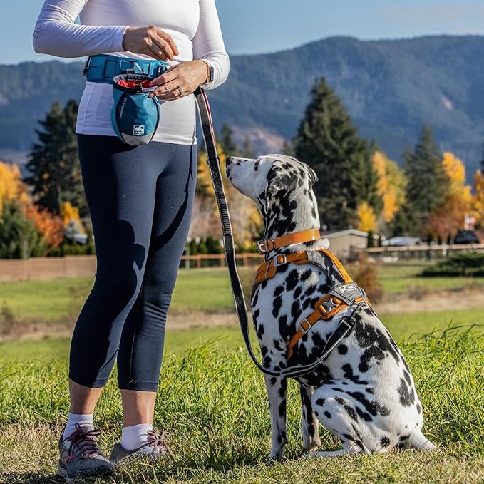PetSafe 3 in 1 Dog Harness - No Pull Solution for Dogs - Reflective Dog Harness - Front D-Ring Clip Helps Stop Pulling - Comfortable Padded Straps - Top Handle Enhances Control - Black - Extra Small
