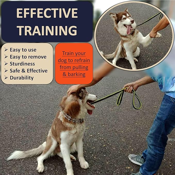 DEYACE Quick Release Dog Training Collar Adjustable Stainless Steel Collar for Small Medium Large Dog (Pink, S Neck Girth 11.2"-14.5")