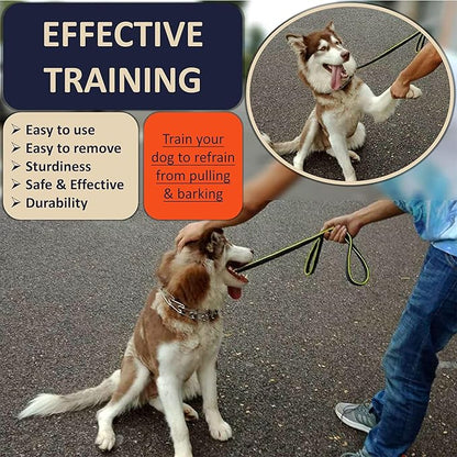 DEYACE Quick Release Dog Training Collar Adjustable Stainless Steel Collar for Small Medium Large Dog (Teal, XL Neck Girth 16.9"-22.2")