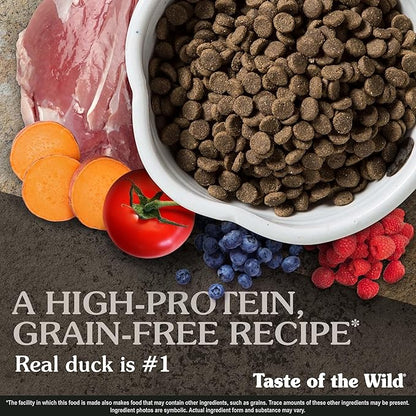 Taste of the Wild Wetlands Grain-Free Dry Dog Food with Roasted Fowl 14lb