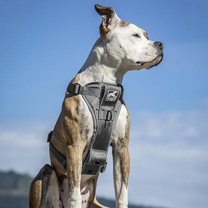Kurgo Tru-Fit Smart Dog Walking Harness - Comfortable Fit - Adjustable Harness - Reflective Pet Wear - Quick Strap Release - Daily Walk Accessory - Includes Seat Belt Loop - Grey - X-Small