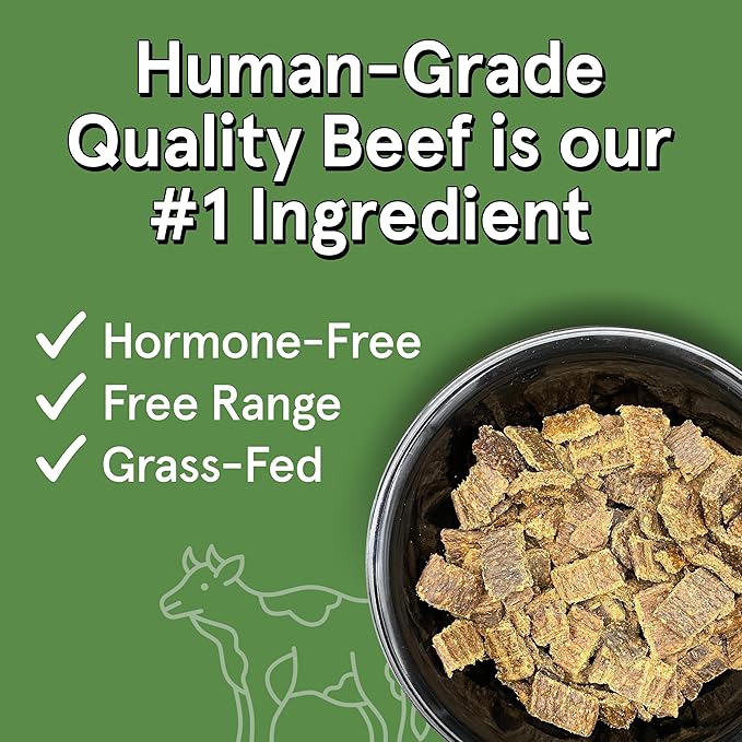 Real Meat Air Dried Dog Food w/ Real Beef - 10lb Bag of USA-Crafted Grain-Free, High Protein Dog Food