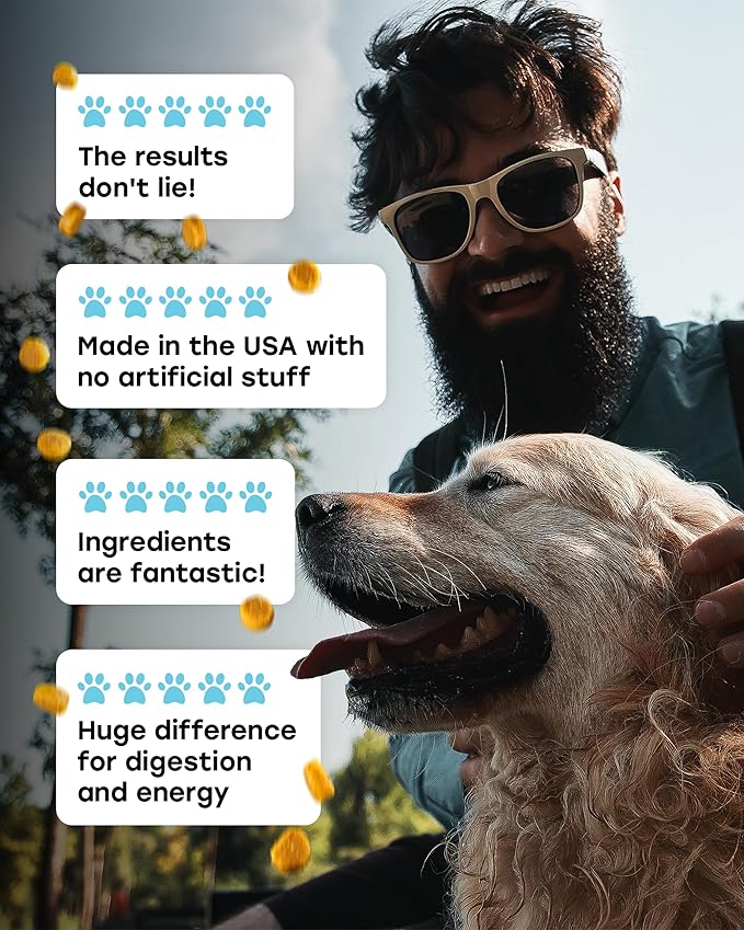 Probiotics for Dogs – Gut Health Support for Less Gas, Better Digestion & Regular Stools – Soft Beef Chews with Digestive Enzymes, Prebiotics & Fiber – 140 Count