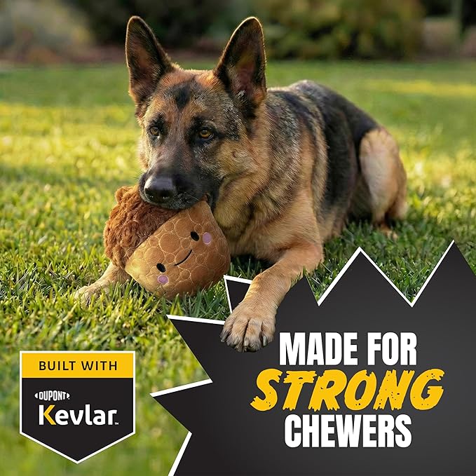 Bite Force -Durable & Strong Dog Toy Cheeky Acorn with Squeaker, Kevlar-Reinforced for Aggressive Chewers for Small Medium Large Dogs - Brown.