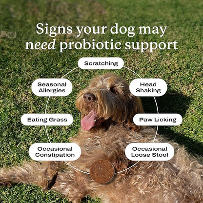 PetLab Co. Probiotics for Dogs, Support Gut Health, Occasional Diarrhea, Digestive Health & Seasonal Allergies - Pork Flavor - 30 Soft Chews - Packaging May Vary (Value 2-Pack)