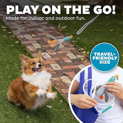 Outward Hound Tail Teaser Interactive Dog Wand Toy with Squeaky Plush Teaser and Crinkle Sounds for Active Play, Multicolored
