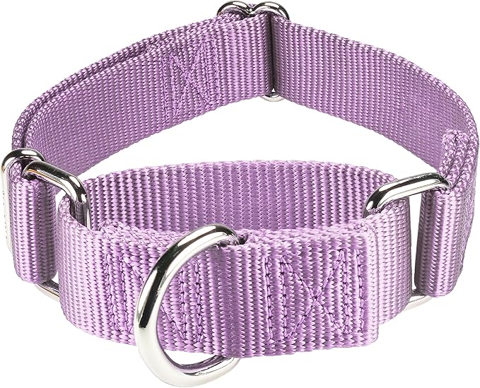 Mikivery Martingale Dog Collar Nylon Adjustable and Safety Training Metal Buckle Dogs Collars for Small Medium and Large Breed(Violet,M)