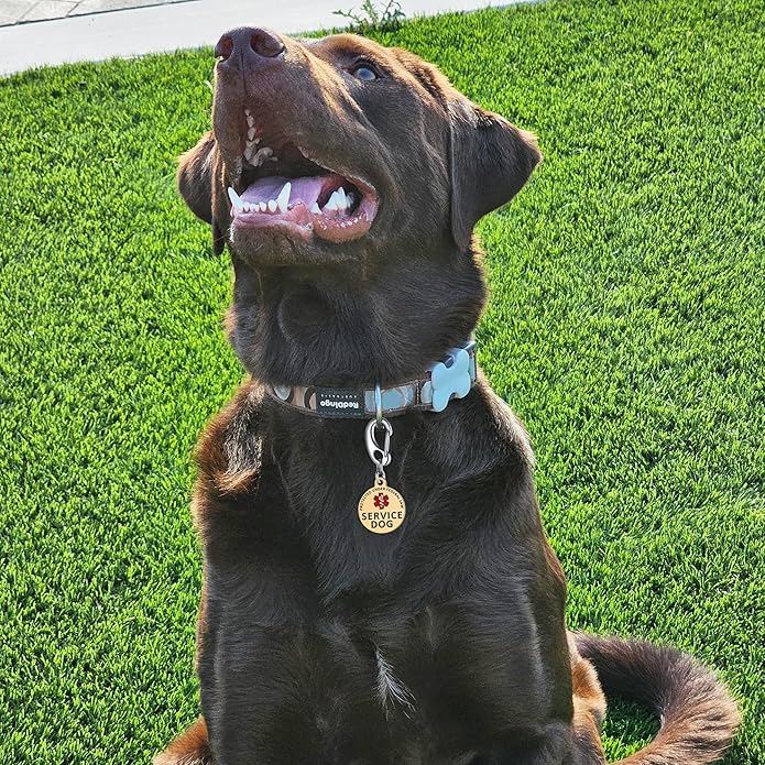 Service Dog Tag/ESA Animal Tag - Double Sided with Federal Protection & Red Medical Alert Symbol| Easily Attach to Collar, Harness, Vest | Service Dog Identification Tag