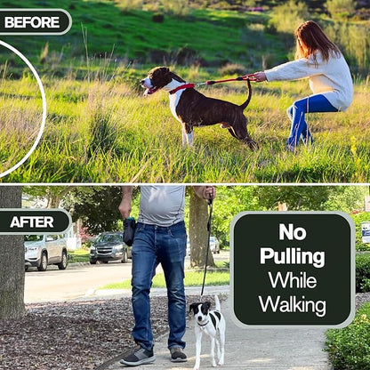 Clasp 2.25mm Stainless Dog Training Collar for Large Breeds | 16” Prong Collar for Dogs 26lbs & Up | No-Pull Collar | Behavior Aid | Canary Yellow