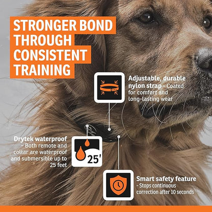 SportDOG YardTrainer 300 Remote Trainer - Off-Leash Safety Tool - Quick-Charge - Waterproof DryTek Technology - Compact E-Collar - Remote Dog Collar - 300-Yard Range