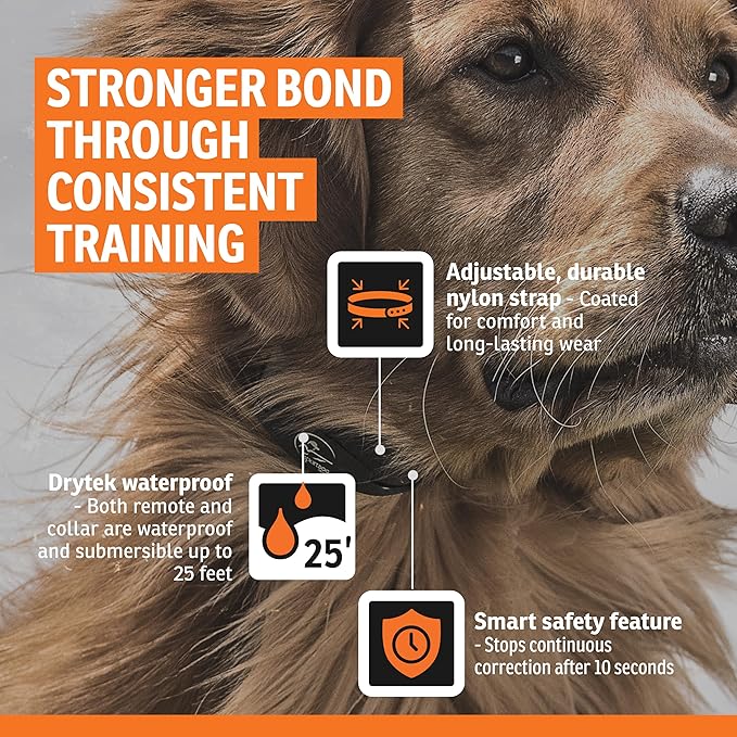 SportDOG Brand YardTrainer 100 Remote Trainer for Dogs Shock Collar with Remote, Waterproof, Submersible Up to 25 Ft, DryTek Technology, Trainer with Shock, Vibrate, and Tone