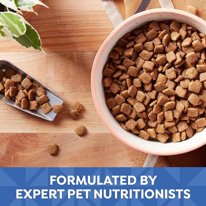 Nature's Recipe Grain Free Small Breed Dry Dog Food, Chicken, Sweet Potato & Pumpkin Recipe, 12 lb. Bag