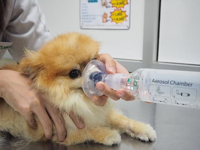 Dog Aerosol Chamber (3 Masks) – Canine Inhaler Spacer for Dogs – Includes 3 Masks to Fit All Dogs (Premium Quality)