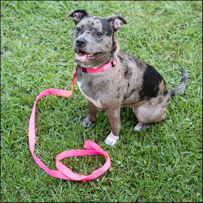 Country Brook Petz - Everyday Nylon Dog Collar for Large, Medium, and Small Dogs and Puppies - for Everyday Use in 10+ Warm Colors (Extra Large, 1 Inch Wide, Hot Pink)