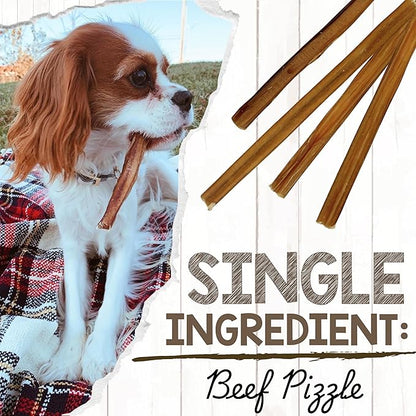 Nature Gnaws Extra Thin Bully Sticks for Small Dogs 5-6" (25 Count) - Long Lasting for Light Chewers and Puppies - Natural Beef Dog Chew Bones