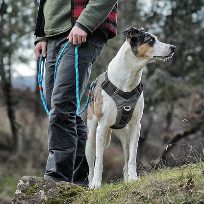 Kurgo Journey Air Dog Harness - Secure Fit for Active Dogs - Padded Chest - Lightweight Ripstop Fabric - Breathable Mesh - Reflective Trim - Back Assist Handle - Black - Large