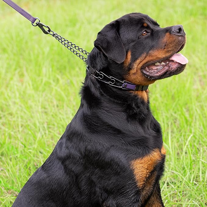 Herm Sprenger Black Stainless Steel Dog Collar with Quick Release ClicLock Buckle O-Ring Biothane Insert Training Collar Made in Germany (Violet Purple, 23in x 3.2mm(Neck Size up to19-20in))