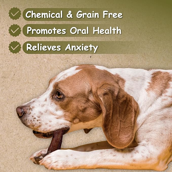 Top Dog Chews 6" Bully Sticks - 25 Pack, 1.3 LB Bag, All Natural, Roasted, Sourced from Free Range Beef, High Protein, Low Fat Dog Chews for Healthy Teeth, Gums & Chewing Satisfaction.