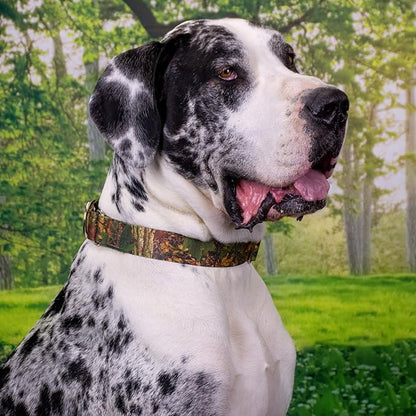 Country Brook Petz - Southern Forest Camo Martingale Dog Collar and Leash - Camouflage Collection Featuring Rugged Designs (1/2 Inch, Extra Small)