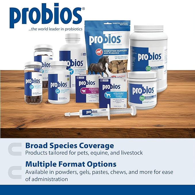 Probios for Dogs Soft Chews, Probiotics for Dogs, Daily Supplement for Gut Health, Digestion & Immune Support, Small Breeds, 4.23oz