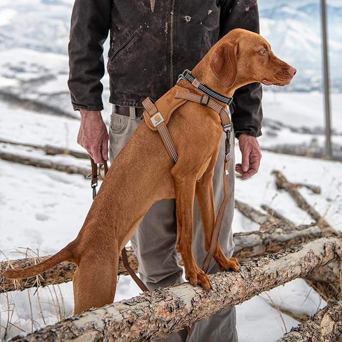 Carhartt Nylon Duck No Pull Dog Harness, Fully Adjustable Dog Harness with Quick Control Handle and Reflective Accents, Carhartt Brown, Medium
