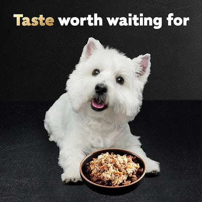 Cesar Wholesome Bowls Adult Wet Dog Food,Beef,Chicken,Purple Potatoes & Carrots,Wet Food for Dogs,3 Oz. Bowls,10 Count (Pack of 2)