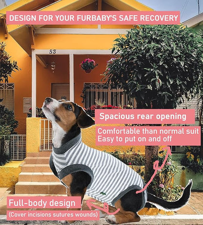 Dog Surgery Recovery Suit,Male Neuter Recovery Large Onesie Female Spay Cone Alternative Recovery Suit,Hoop & Loop Comfortable Surgical Bodysuit,Striped Grey L