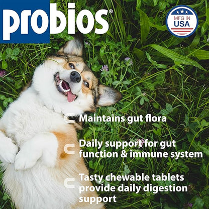 Probios Chewable Tablets for Dogs, Daily Probiotic Supplment for Gut Health, Digestion & Immune Support, 45 Count