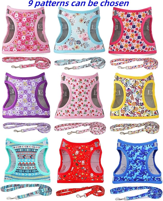 Moonpet Step in Boy Dog Harness Leash Set- All Weather Reflective No-Pull Padded Mesh Vest Harness for Cats Puppy Extra-Small Small Medium Large Dogs - Mayan Mysteries - XL