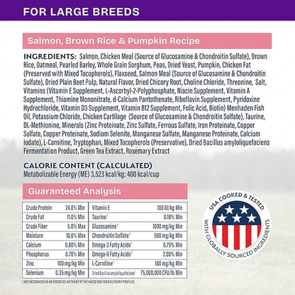 Natural Balance Health Protection Large Breed Dry Dog Food – Whole Body Health, Easy on Digestion Dog Food Made with Salmon, Brown Rice & Pumpkin for Dogs - 26lbs