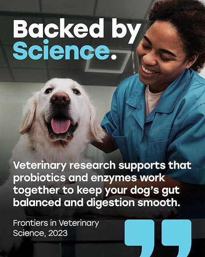 Probiotics for Dogs – Gut Health Support for Less Gas, Better Digestion & Regular Stools – Soft Beef Chews with Digestive Enzymes, Prebiotics & Fiber – 140 Count