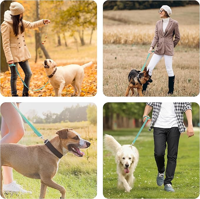 Dog Leash, 4ft Long, Double Handle, Reflective, Turquoise, for Small, Medium, Large Dogs