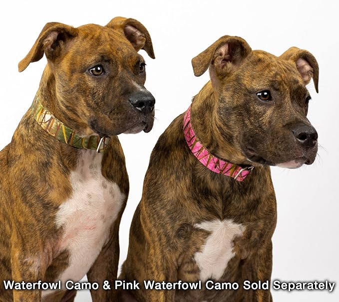Country Brook Petz - Pink Waterfowl Camo Martingale Dog Collar and Leash - Camouflage Collection Featuring Rugged Designs (1 Inch, Medium)