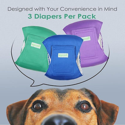 wegreeco Washable Dog Diapers - Washable Male Dog Belly Wrap - Pack of 3 - (Blue,Green,Purple,X-Large)