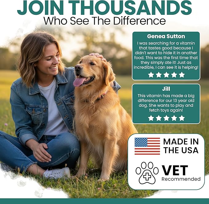 12-in-1 Dog Multivitamin Soft Chews, 120 Count - Vitamins & Supplements, Glucosamine Chondroitin, Probiotics, Omega 3 - Hip & Joint, Skin & Coat, Immune Support for Puppy & Senior Dogs - Chew + Heal