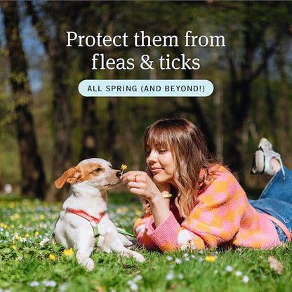 PetArmor Plus Flea and Tick Prevention for Dogs, X-Large Dog Flea and Tick Treatment, 6 Doses, Waterproof Topical, Fast Acting, For X-Large (89-132 lbs)