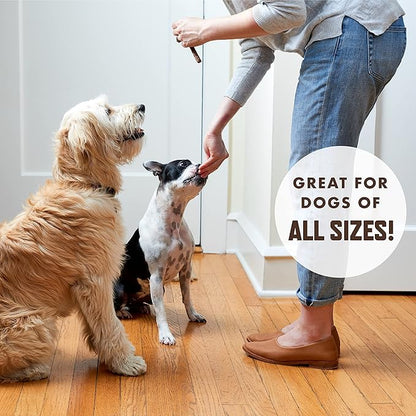 Rocco & Roxie Chicken Jerky Dog Treats, Soft Training Snacks Made in USA | High Value Training Treats for Dogs, Small & Large Breeds, Seniors & Puppies, Natural Jerky Chews for Rewarding Good Behavior