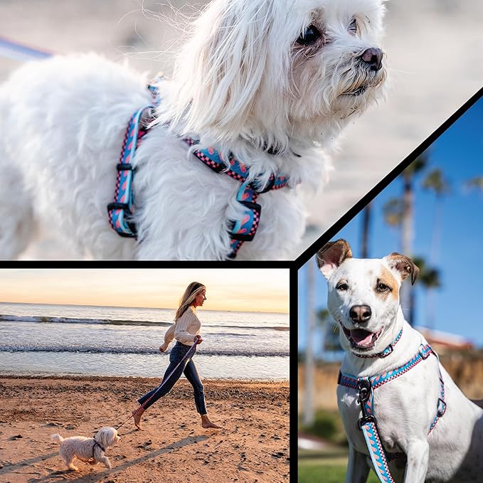 Wolfgang Heavy Duty Adjustable Dog Harness, Pull-Tested for Walking & Training, BuenaOnda Print, Small