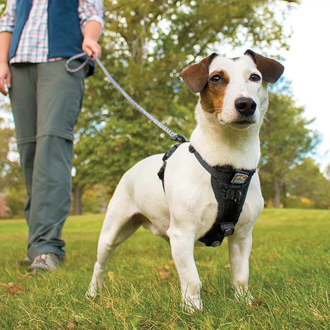 Kurgo Tru-Fit Smart Dog Walking Harness - Comfortable Fit - Adjustable Harness - Reflective Pet Wear - Quick Strap Release - Daily Walk Accessory - Includes Seat Belt Loop - Black - Medium